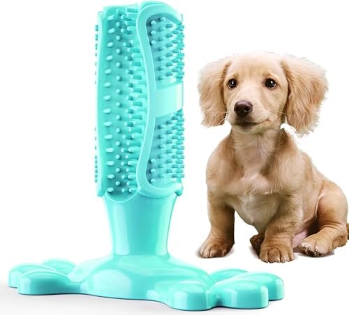 PUPIX Dog Toothbrush Chew Toy with Treat Dispenser, Interactive Dog Toy for Small Medium Dogs, Puppy Teething Toy, Rubber Dog Chew Toy for Dental Cleaning, Dog Teeth Cleaning Toy & Oral Care, Blue, M