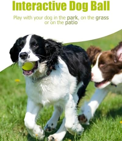 2-inches Interactive Dog Tennis Balls for Exercise and Training