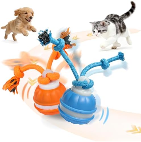 2 Pack Interactive Dog & Cat Ball, Auto Chirping, Rechargeable, Self Play