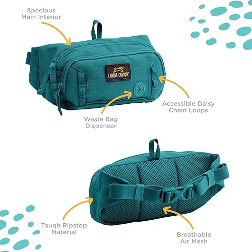 CANINE CANYON Stella Dog Walking Waist Belt Bag, Teal | Hands-Free Storage for Treats, Phone & Essentials