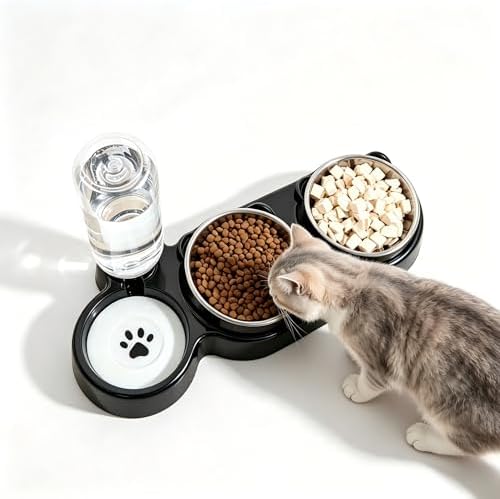 3 in 1 Cat Bowl, Cat Food and Water Bowl Set, Stainless Steel Cat Food Bowls Elevated with Tilted Design, 2 Pet Dish & Automatic Water Dispenser Feeding Station, Small or Medium Sized Dogs