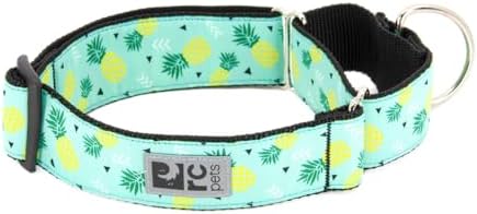 RC Pets 1-1/2 Inch All Webbing Martingale Training Dog Collar, Medium, Pineapple Parade