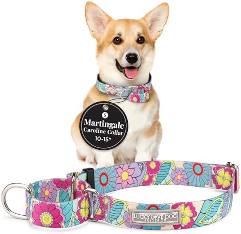 Lucky Love Dog Martingale Collar for Small Dogs No Slip – Caroline, Small