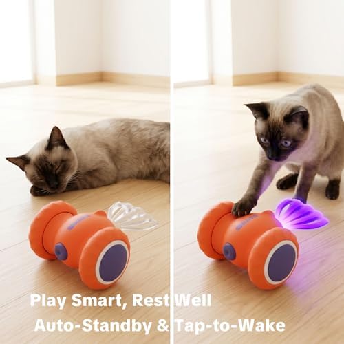 Interactive Cat Toys, Puppy Dog Toys