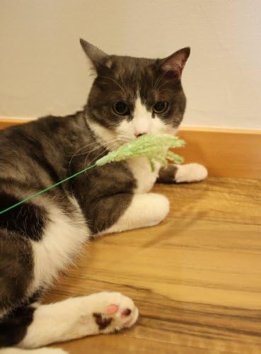 Catty Man Jereneko Silver Grass 2 Pcs, Interactive Cat Teaser Wand Feather Cat Toy Made In Japan