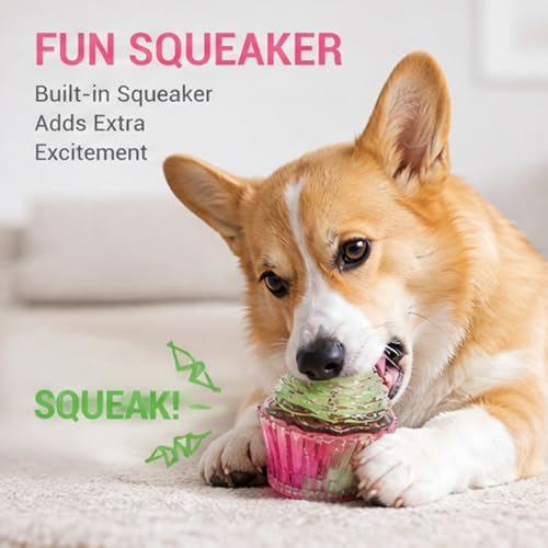 Molaxpet Squeaky Dog Toy Cupcake Rubber Interactive Chew Toy for Pet Dogs