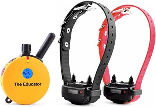 E-Collar Educator ET-402 Dog Training Collar, 2 Dog System, Yellow