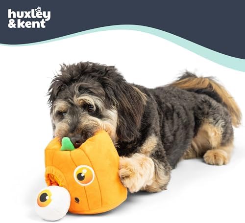 Huxley & Kent Interactive Halloween Funny Dog Toy w/Squeaker – Power Plush Puzzle Dog Toys for Small, Medium & Large Dogs – Treat Hiding Play Time - Pop 'n Fetch Pumpkin Pop-Eye