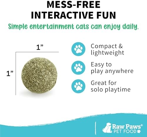 Raw Paws Catnip Balls for Cats (6-Count) - Interactive Indoor Cat Toy