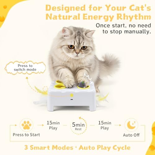Interactive Cat Feather Toy Cheese Box 3in1 Whack a Mole