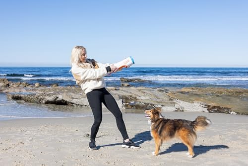 Chuckit! Cannon 16M Dog Ball Launcher for Fetch, 16-Inch Dog Fetch Toy and Interactive Ball Launcher, Works with Small 2-Inch and Medium 2.5-Inch Balls, Includes 4 Medium Balls