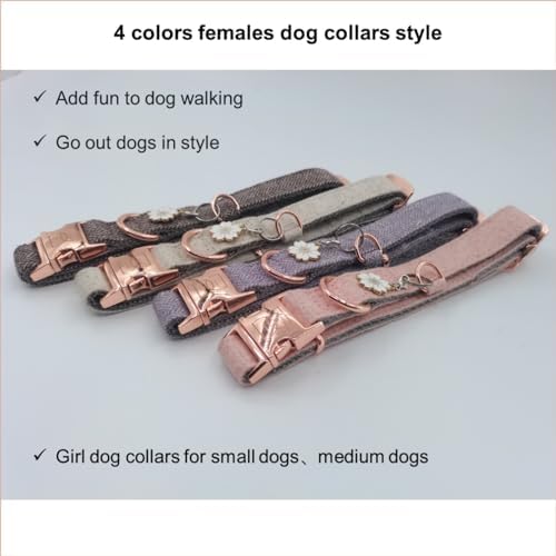 Rose Gold Dog Collar with Quick Release Buckle - Adjustable Soft Padded Nylon Pet Collar with ID Tag Ring for Small Medium Dogs, Comfortable & Durable Training Collar (Purple, Medium)