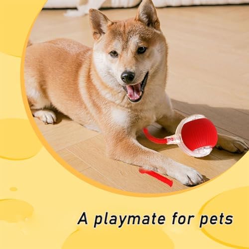 Interactive Rolling Dog Ball,Interactive Rolling Ball Dog Toy,Interactive Rolling Ball Dog Toy,Electric Dog Ball Toy,Electric Dog Ball,360° Smart Automatic Rolling Pet Ball(Red)