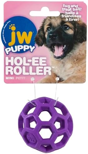 JW Pet Hol-ee Roller Treat Dispenser Puzzle Ball, Mini 1.75in, Rubber