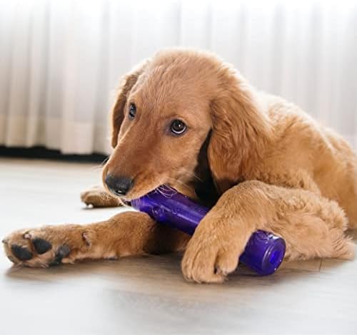 KONG - Squeezz Crackle Stick - Strong Indoor/Outdoor Dog Toy (Assorted Colors) - For Large Dogs