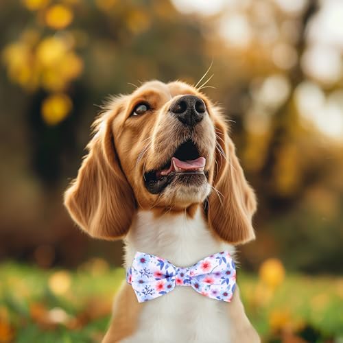 azuza Dog Collar with Bow Tie, Soft and Comfortable Adjustable Bowtie Dog Collar for Large Dogs (L, Gerbera)