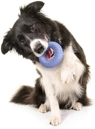 Playology Dual Layer Ring Dog Toy for Aggressive Chewers, Blueberry Scent