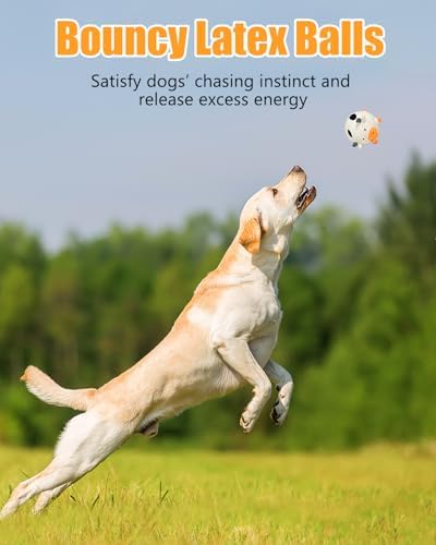 Dog Toys Squeaky, Interactive Latex Rubber Cute Animal Pet Toy Pack Squeak Balls for Puppy Small Medium Breed Dogs