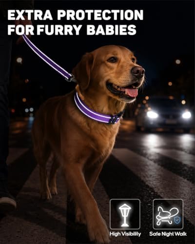 Padded Dog Collar with Waterproof Holder Compatible with Airtag