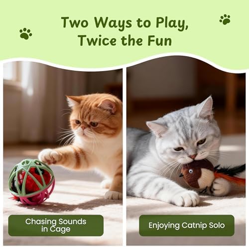 Cat Toys for Indoor Cats - Interactive Ball Cage Cat Toy with Realistic Bird Sounds & 2 Catnip Plush Toys, Motion-Activated Hunting Simulation Toy for Cats