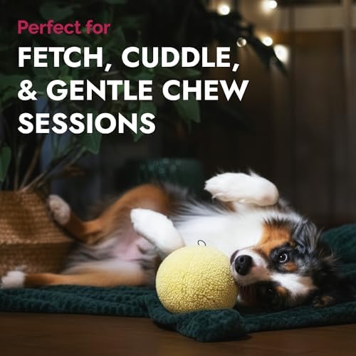 PetLou Dog Fleece Ball Chew Toy, 8"