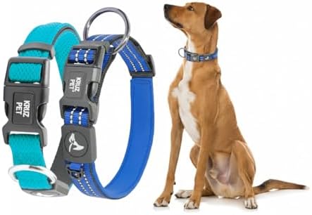 Dog Collar Bundle | Includes Small Turquoise (Width- 5/8", Neck - 8"-12") & Large Blue (Width- 1", Neck -21"-25") | Adjustable Padded Dog Collars with Heavy Duty O-Ring | Soft & Fit for Dogs