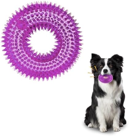 Andiker Squeaky Dog Toy, Safe TPR Chewable Dog Toys for Teeth Grinding&Cleaning Dog Fetch Toys for Enhancing Interactivity Outdoor Suitable for All Dog Sizes Puppy’s and Dogs (Large Purple)