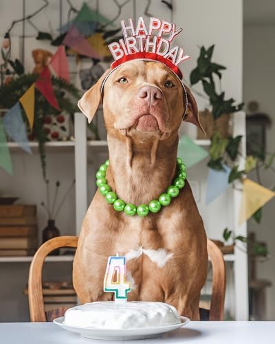Chunky Pearl Dog Necklace (Beads 20mm),Elegant Classic Super Big Pearl Collar Necklace Accessories for Medium Large Dogs Occasions and Gatherings (Light Green, XL(Neck Girth 18.5''-20''))