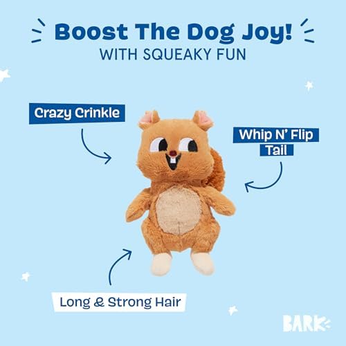 BarkBox Pearl Squirrel