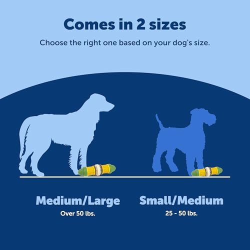 PetSafe Busy Buddy Cravin Corncob Treat Holding Dog Toy, Medium/Large