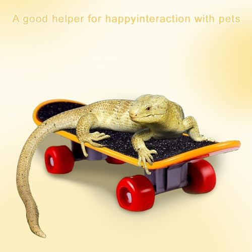 Mini Turtle Skateboard for Small Pets - Fun Tortoise Skateboard Toy for Reptiles, Bearded Dragons, Parrots, and Other Small Animals - Cute and Safe Skateboard for Turtles and Tortoises(Large)