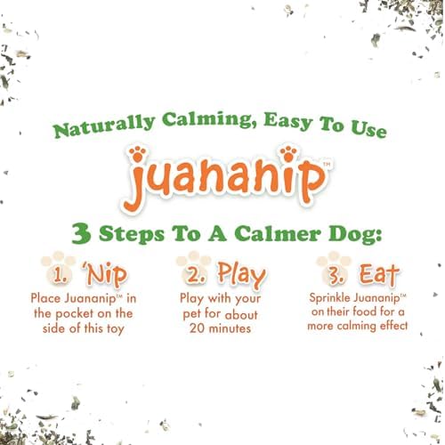 Doggijuana Tomahawk Steak & Grilled Kebab Dog Toy Bundle | 2 Pack, Squeaky