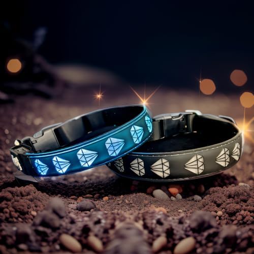 Personalized Dog Collar Waterproof airtag Dog tag Holder,USB C Light up Night Black Dog Collar (Black, S(7.87-11.8"))