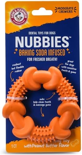 Arm & Hammer Nubbies Rubber Ring Dog Dental Chew Toy, Peanut Butter
