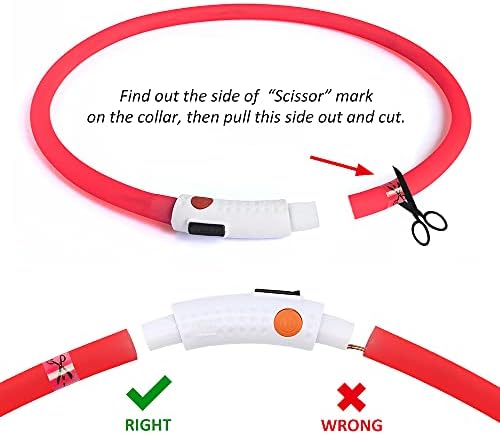 BSEEN Light Up Dog Collar, Silicone LED Dog Collar Rechargeable Cat Collar Cuttable Glowing Puppy Necklace Safety Dog Lights for Night Walking (Red)