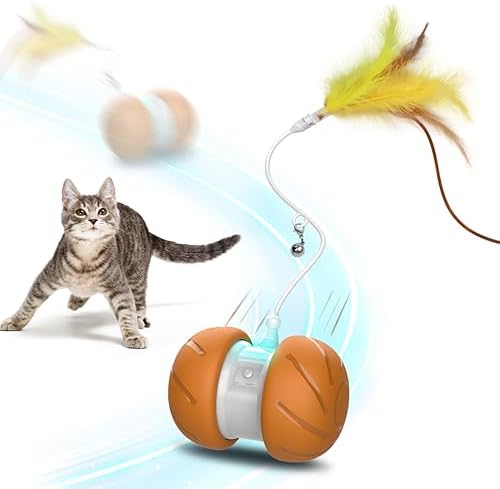 PAWSPIK Feather Tail Rechargeable Spinner Chasers Cat Toy, Orange