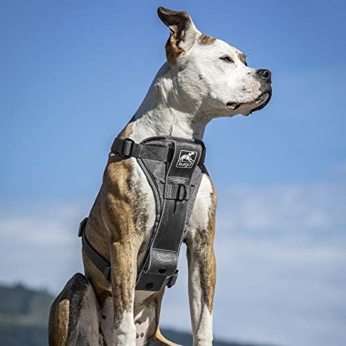 Kurgo Tru-Fit Smart Harness, Grey, Small