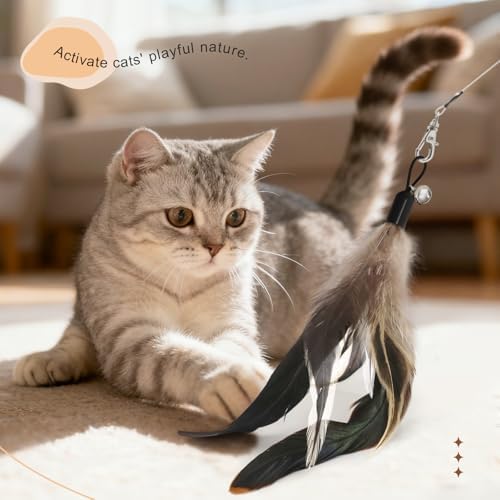SONGWAY Interactive Cat Feather Toys - Cat Wand Toy Set with Retractable Teaser Wand and 6 PCS Natural Feather Refills, Da Bird Cat Toys for Indoor Cats Kittens