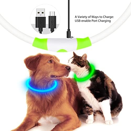 Flashseen LED Dog Collar, USB Rechargeable Glow Lighted up Collar, Green