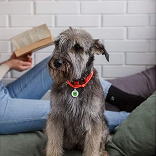 QR Code Dog Tag Personalized Pet Id Silent Cat Tags Engraved Name Plate with Online Profile (Green Logo)