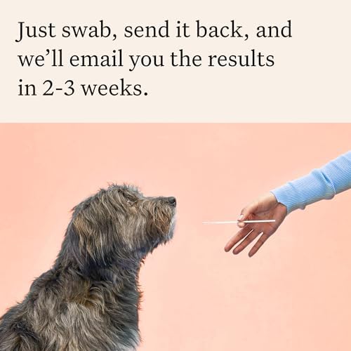 Wisdom Panel Premium Dog DNA Testing Kit - Most Comprehensive Test - 265+ Health Tests, 430+ Dog Breeds, 50+ Traits, Relatives, Ancestry, 1 Pack