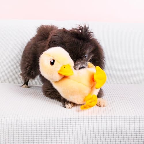 KONG Toughz Durable Plush Dog Toy - Long-Lasting Soft Chew Toy for Aggressive Chewers, Safe & Interactive for Dogs (Duck)