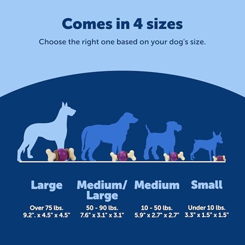PetSafe Busy Buddy Bouncy Bone Treat Holding Dog Chew Toy, Large
