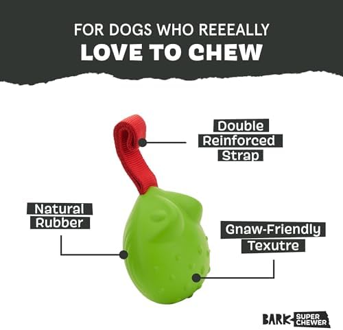BarkBox Tug Tied Toad Dog Toy