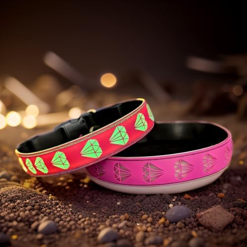Personalized Dog Collar Waterproof airtag Dog tag Holder,USB C Light up Night Black Dog Collar (Pink, L(15.7-19.7"))