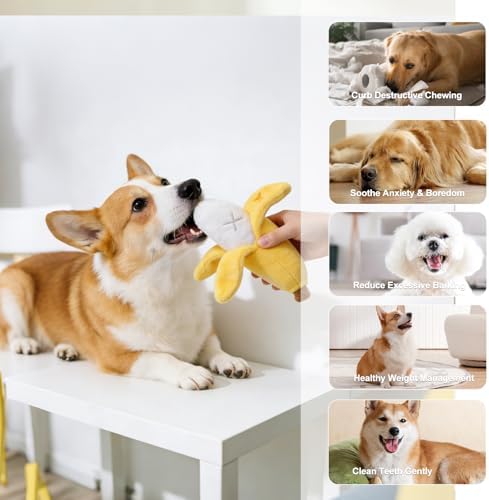 Banana Treat-Dispensing Plush Toy for Small Dogs & Puppies: Hide and Seek Squeaker, Crinkle Sounds, Chew for Teething and Aggressive Chewers