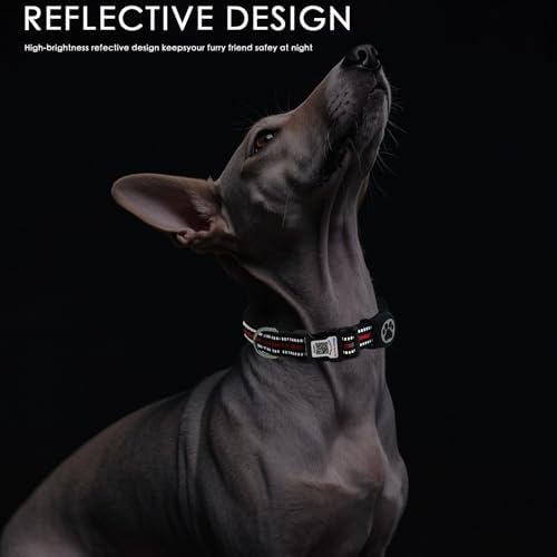 Dog Collar with Tracker Holder and QR Code ID, Waterproof Bluetooth Tracker Case, Reflective Padded Nylon for Small Medium Large Dogs