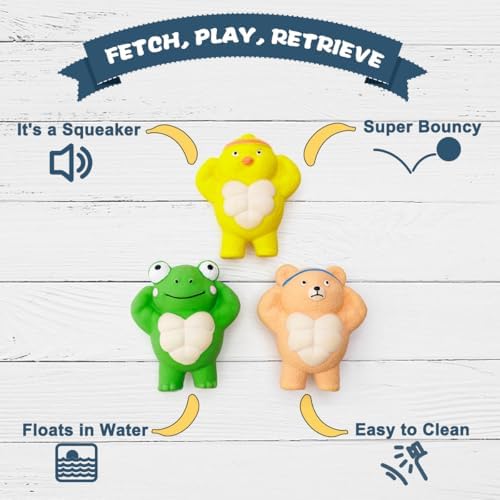 3 Pack Squeaky Dog Toys for Medium Dogs, Soft Latex Chicken Squeaky Dog Ball, Cute Funny Squeak Different Animals Frog Bear Chicken Pet Toys