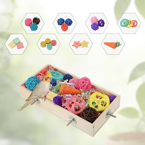 Bird Foraging Toys Box, Wooden Foraging for Birds, Colorful, L