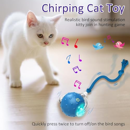 Interactive Cat Toys Ball for Indoor Cats (Blue)